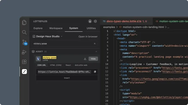 Motion System asset with CDN URL and code insertion