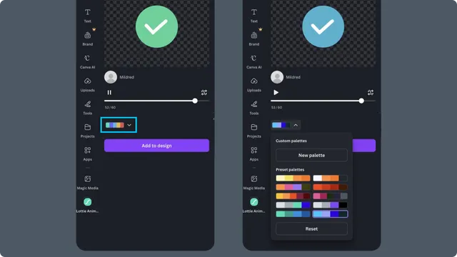 Custom palette applied to an animation in Canva