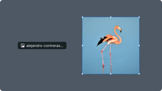 Image Layer