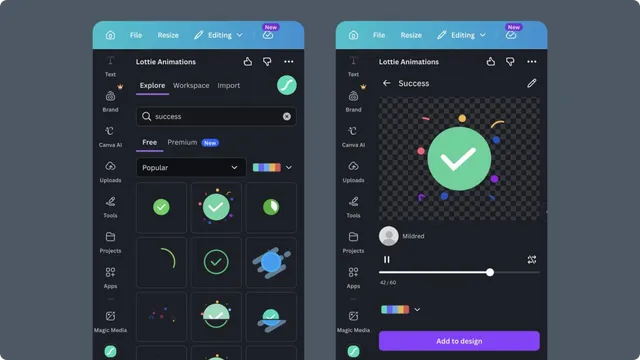 Explore results and animation preview in Canva
